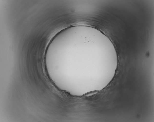 X0000111160289200907211233