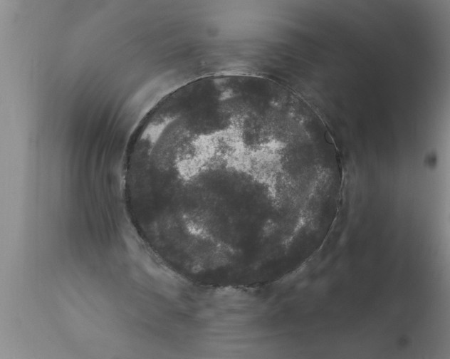 X0000111160290200907211233