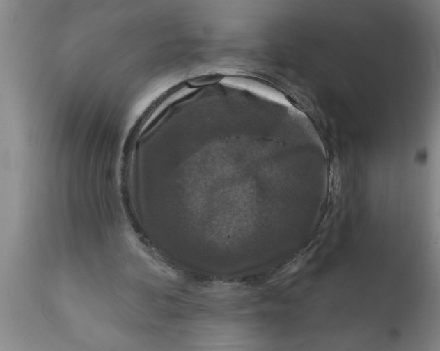 X0000111160292200907211233