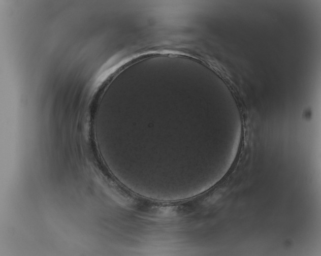 X0000111160295200907211233