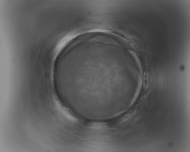 X0000111160296200907211233