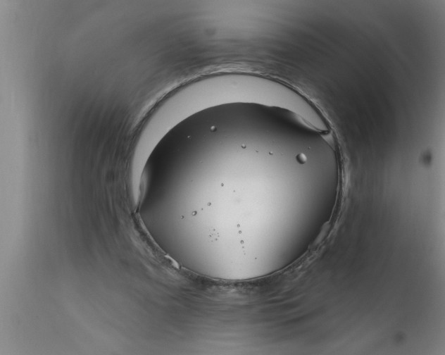 X0000111160297200907211233