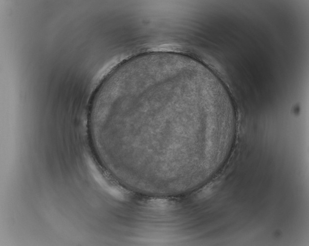 X0000111160298200907211233