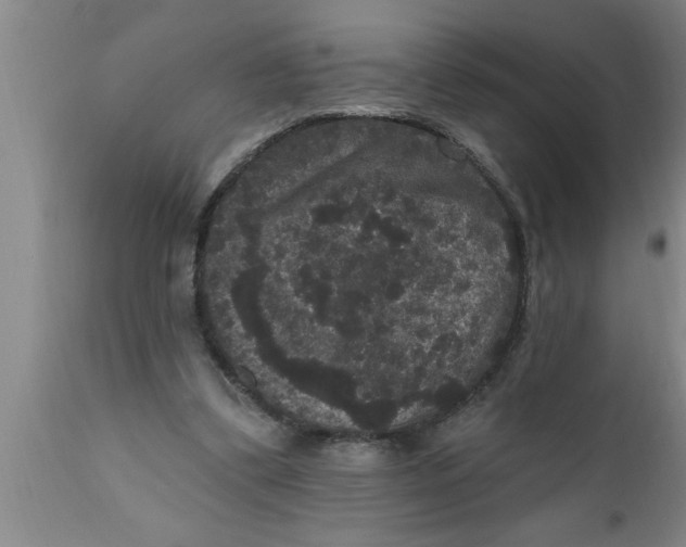 X0000111160299200907211233