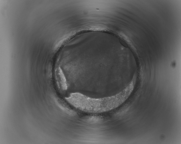 X0000111160303200907211233