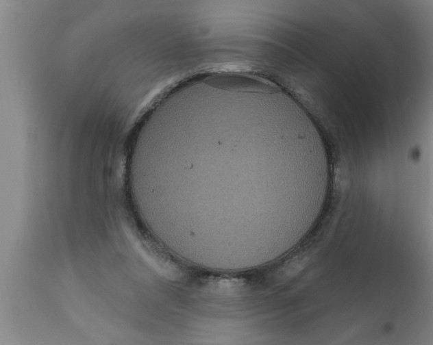 X0000111160304200907211233