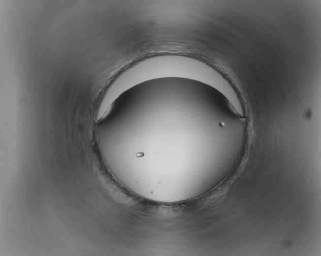 X0000111160305200907211233