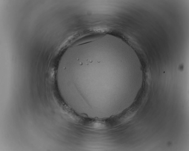 X0000111160308200907211233