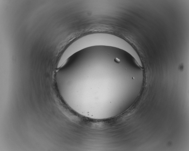 X0000111160309200907211233