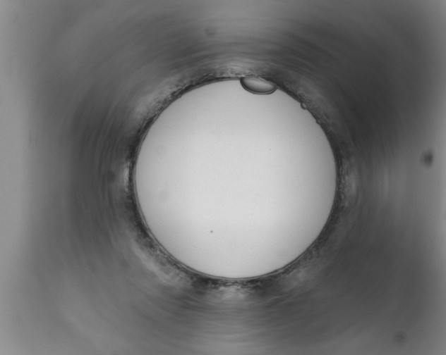 X0000111160310200907211233