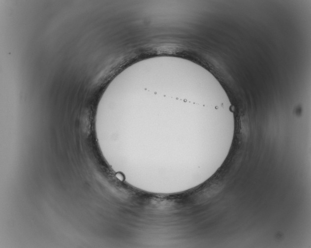 X0000111160311200907211233