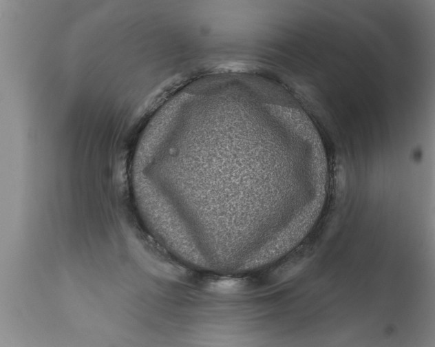 X0000111160312200907211233