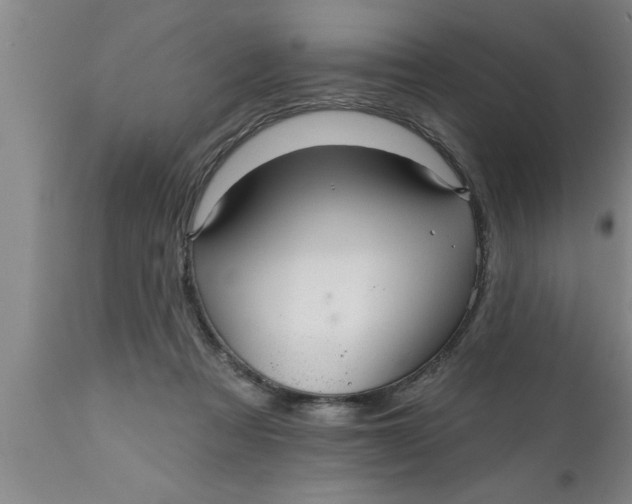 X0000111160313200907211233