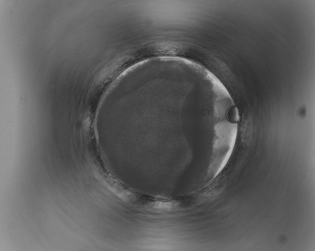 X0000111160314200907211233