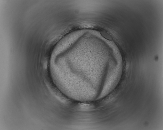 X0000111160315200907211233