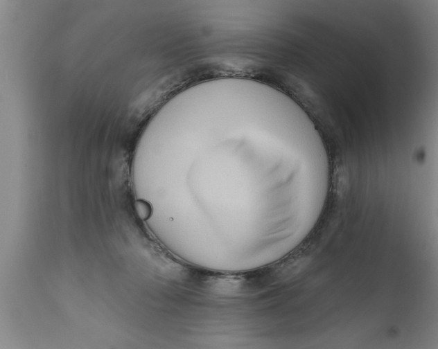 X0000111160318200907211233