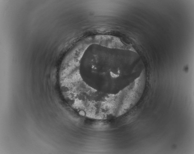 X0000111160319200907211233