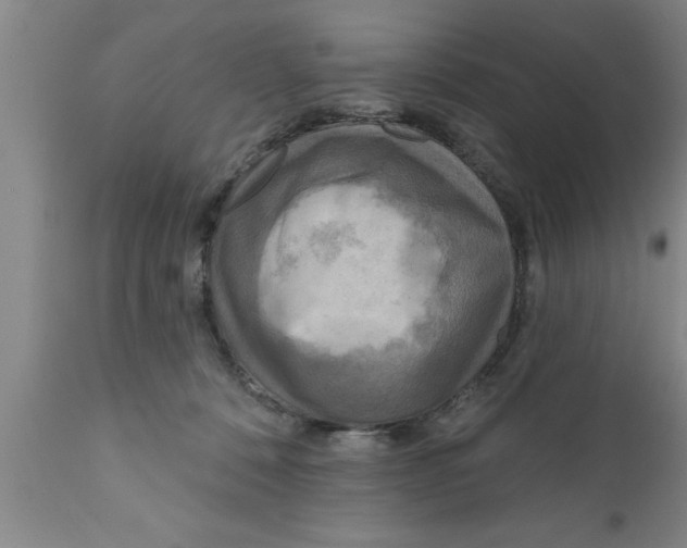 X0000111160320200907211233