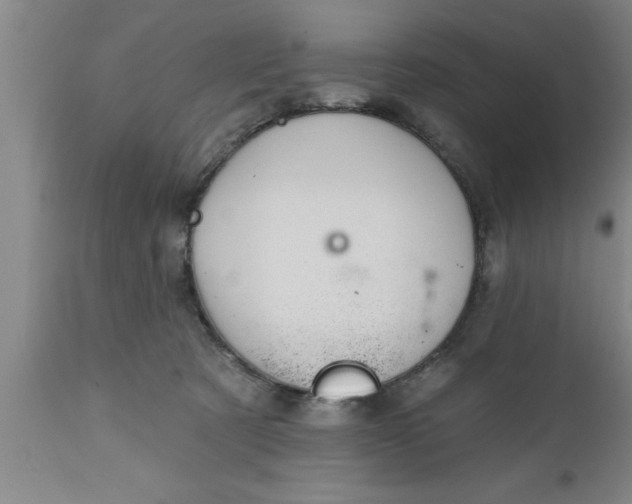 X0000111160321200907211233