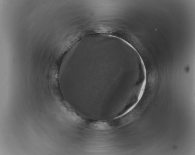 X0000111160322200907211233