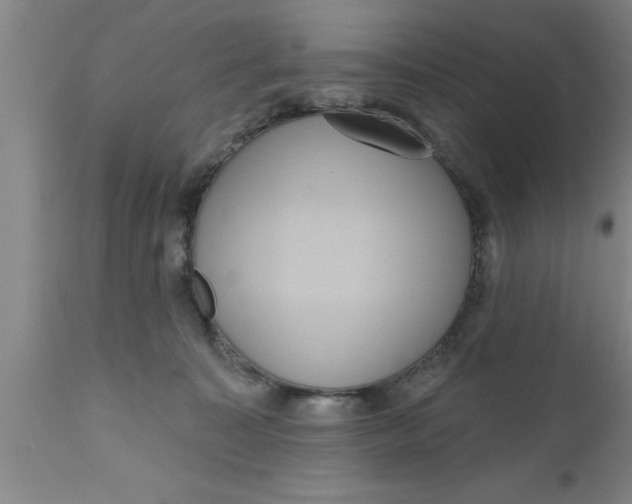 X0000111160323200907211233