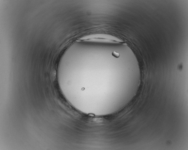 X0000111160324200907211233