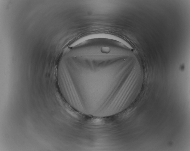 X0000111160325200907211233