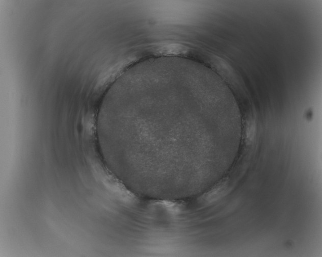 X0000111160326200907211233