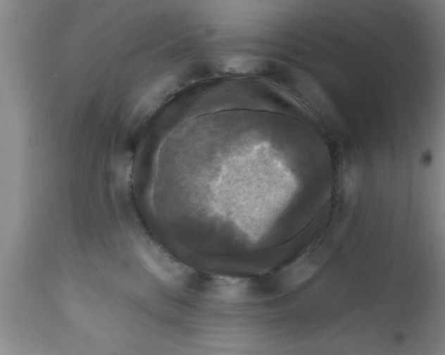 X0000111160328200907211233