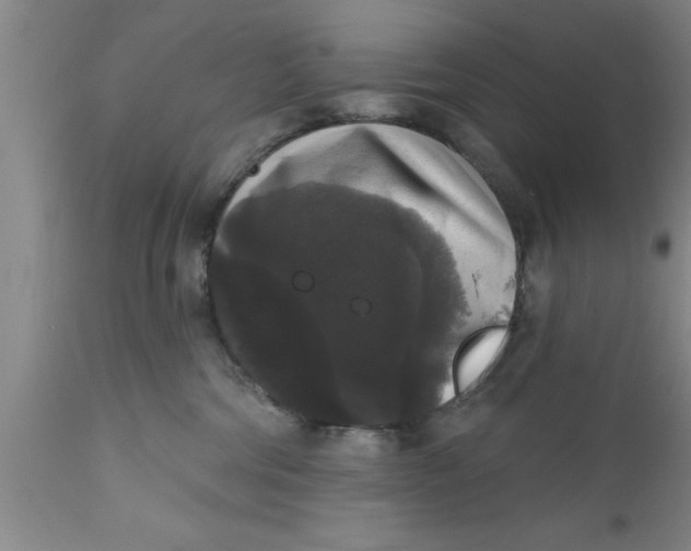 X0000111160330200907211233