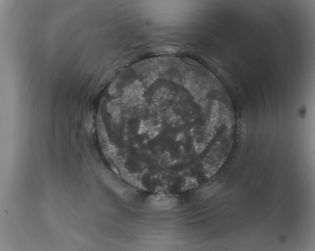 X0000111160331200907211233