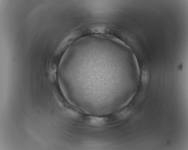 X0000111160332200907211233