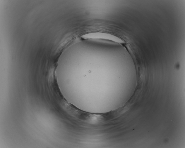 X0000111160333200907211233