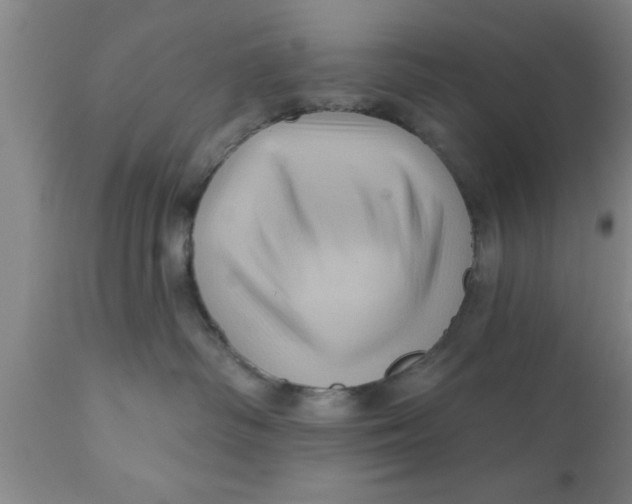 X0000111160334200907211233