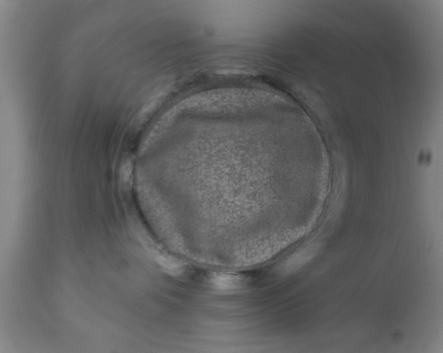 X0000111160336200907211233