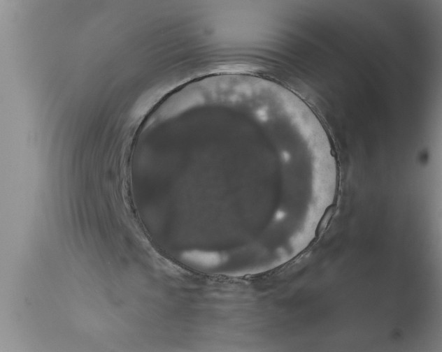 X0000111160337200907211232