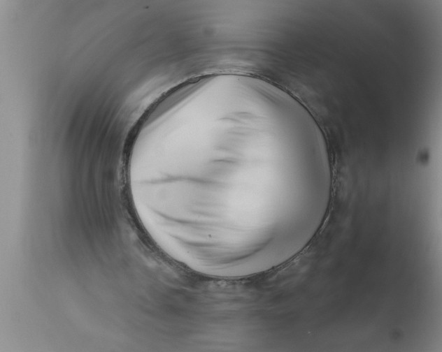 X0000111160338200907211232