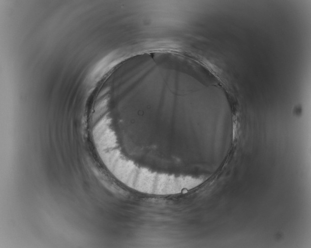 X0000111160339200907211232