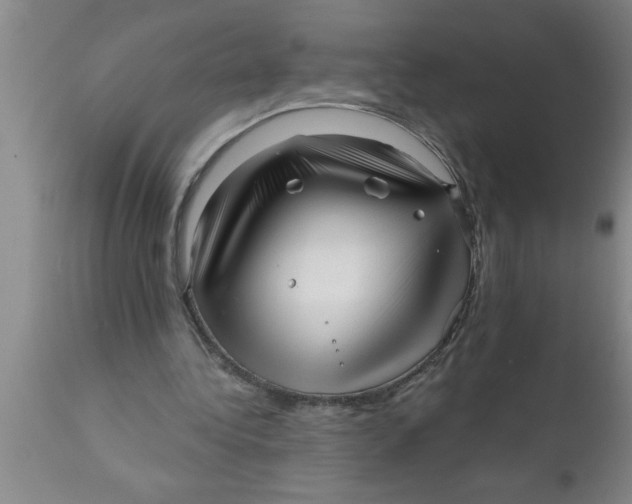 X0000111160340200907211232