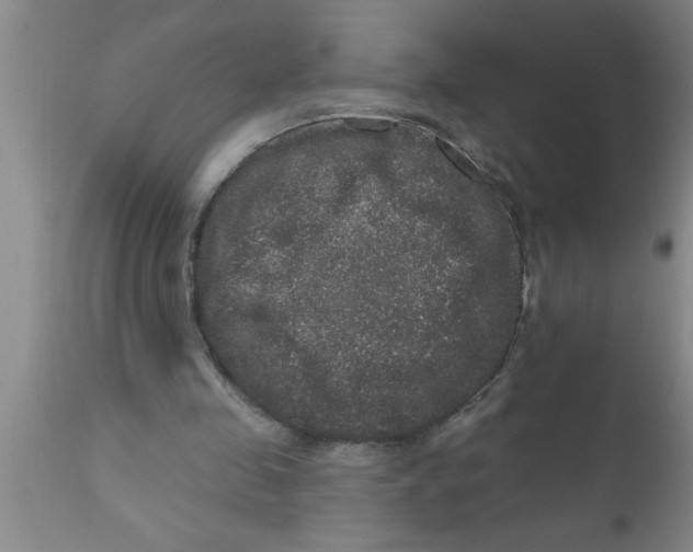 X0000111160341200907211232