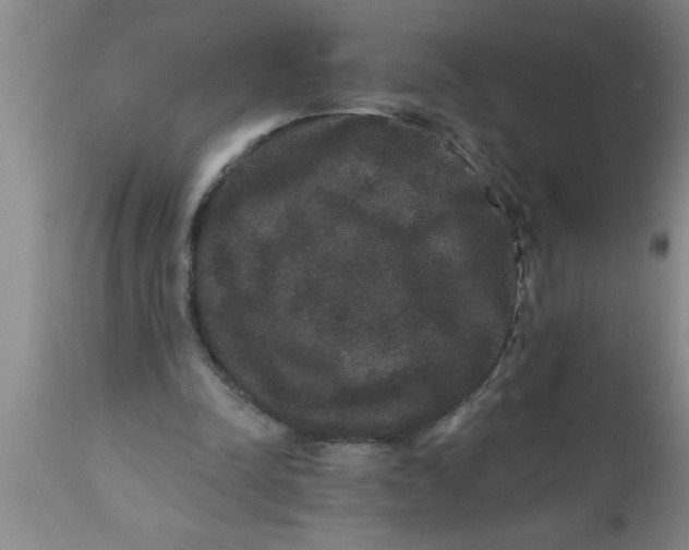 X0000111160342200907211232