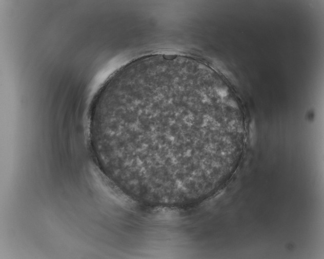 X0000111160343200907211232