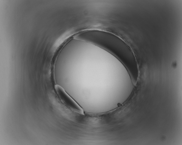 X0000111160344200907211232