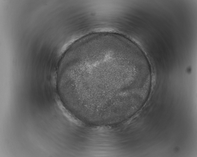 X0000111160345200907211232