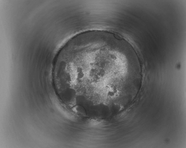 X0000111160346200907211232