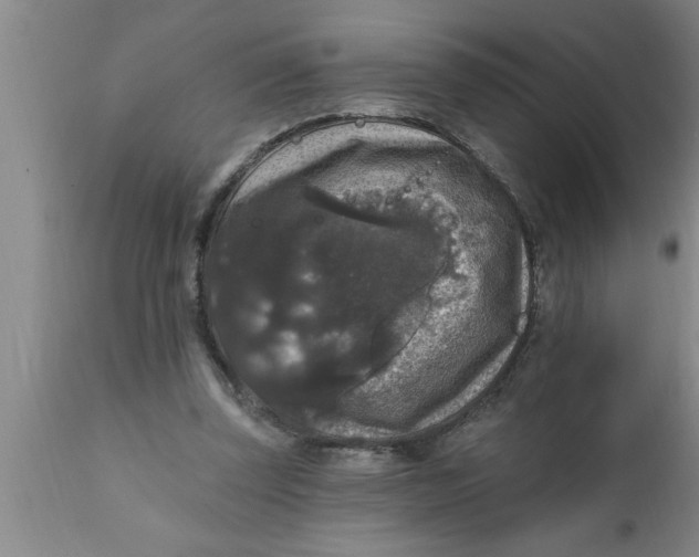 X0000111160347200907211232