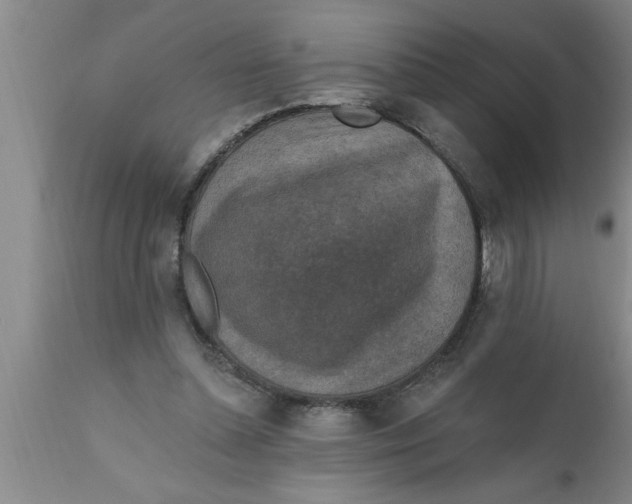 X0000111160348200907211232