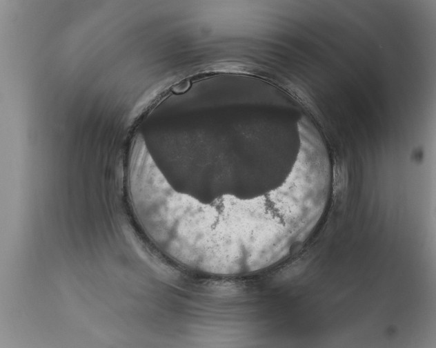 X0000111160349200907211232