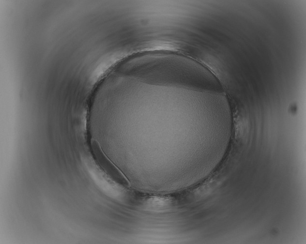 X0000111160350200907211232