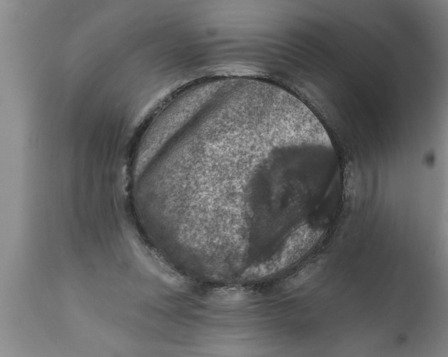 X0000111160351200907211232